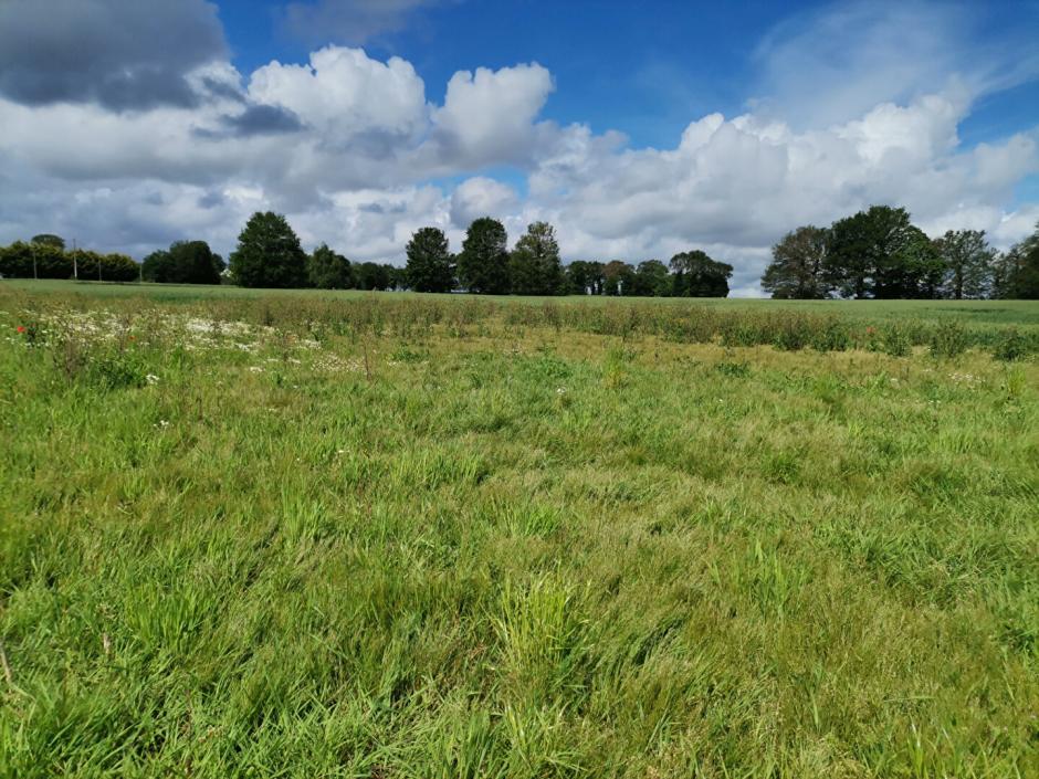 Ac3- vente maison 
mordelles
 1786868910
