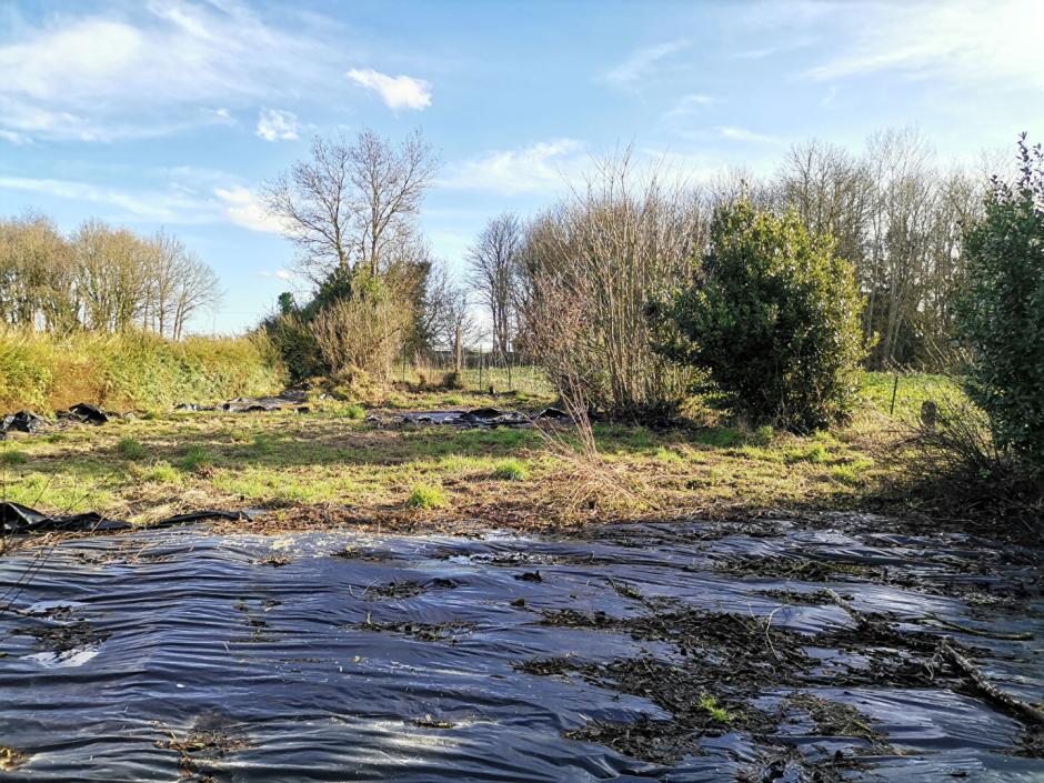 Ac3- vente maison 
quedillac
 1786868915