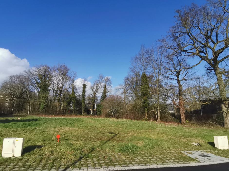 Ac3- vente terrain 
la chapelle thouarault
 1786868923